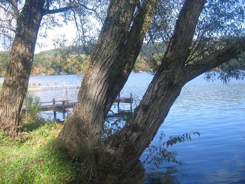 Red Carpet Inn On The Lake - Oneonta Luaran gambar